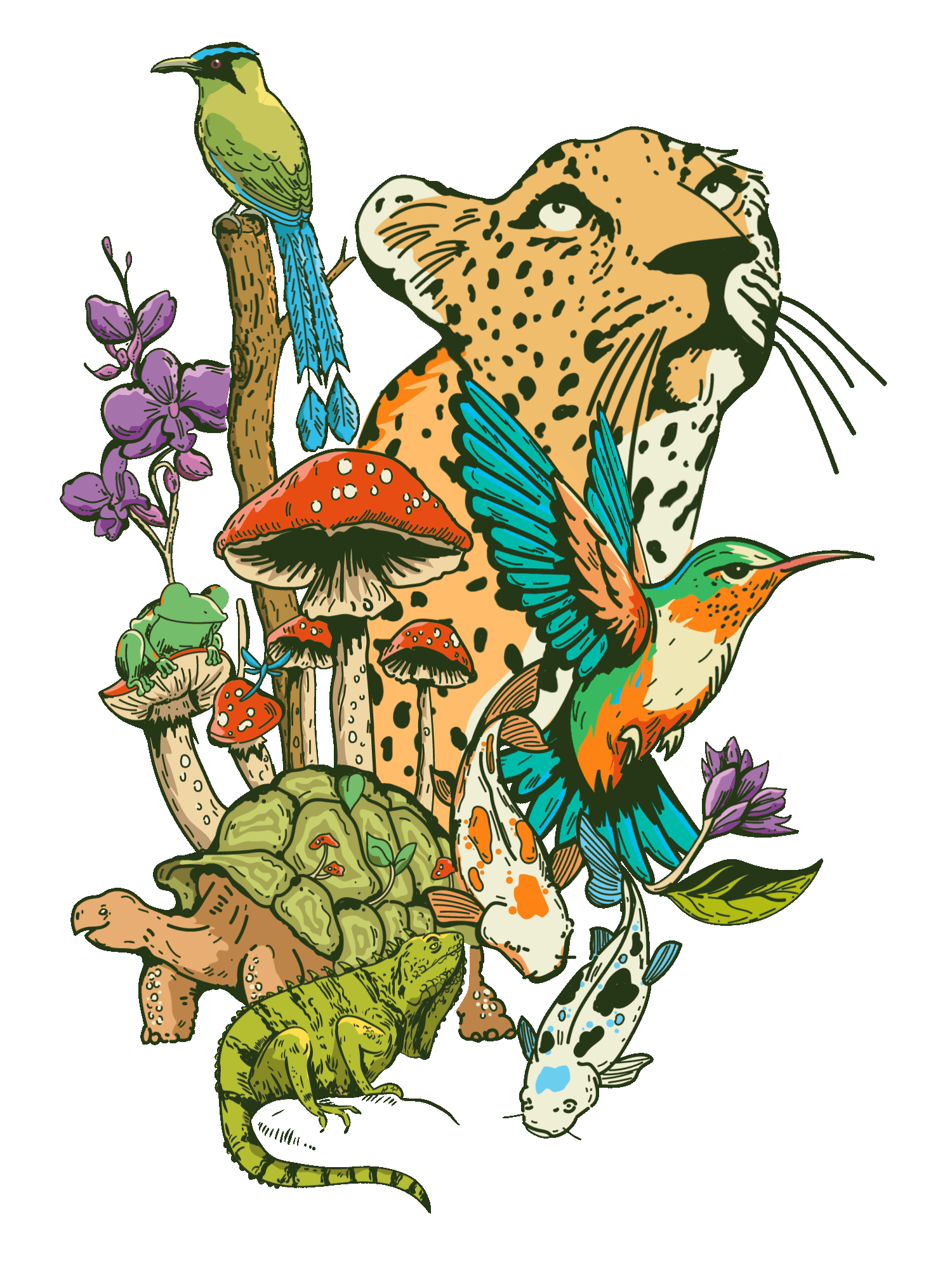 Ilustración principal