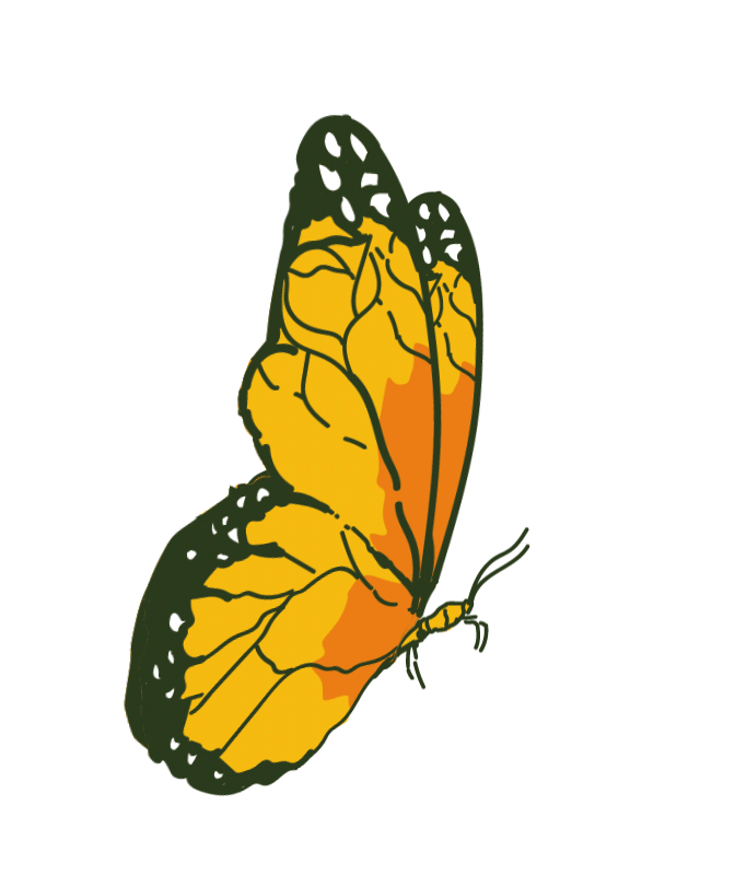 Mariposa